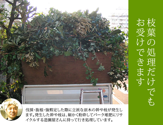 枝はの処理サービス