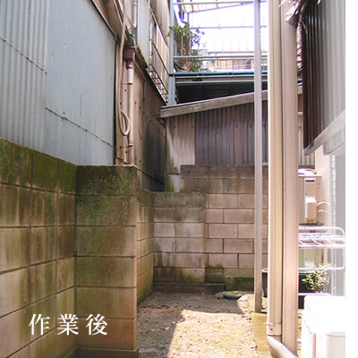 伐採作業後