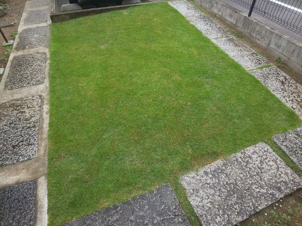 芝刈り後