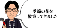 季節のお花を散策