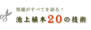 植木屋20の技術